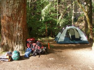 hiking gear tent