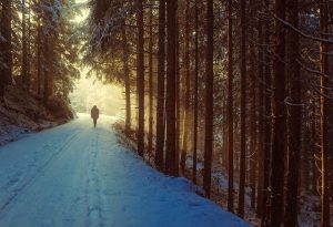 8 Tips for Comfortable and Safe Winter Hiking