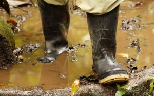 Best Rubber Boots to Keep Your Feet Dry and Protected
